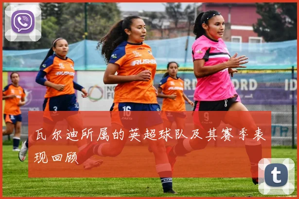 瓦尔迪所属的英超球队及其赛季表现回顾