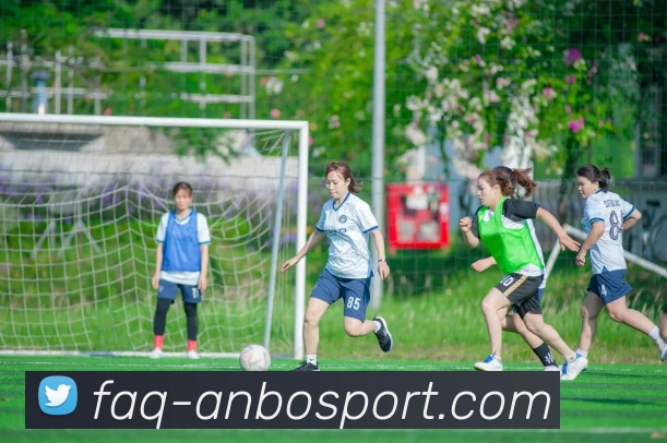 安博体育平台生态图